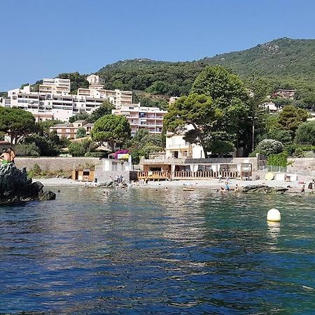 Charmant Studio Climatise Avec Parking, Au Coeur De Pietranera, Plage A 500M, Bastia A 2Km Ville-di-Pietrabugno Ngoại thất bức ảnh